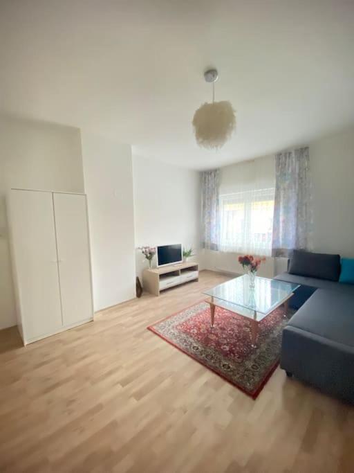 Family-friendly House In Vienna's Suburbs!